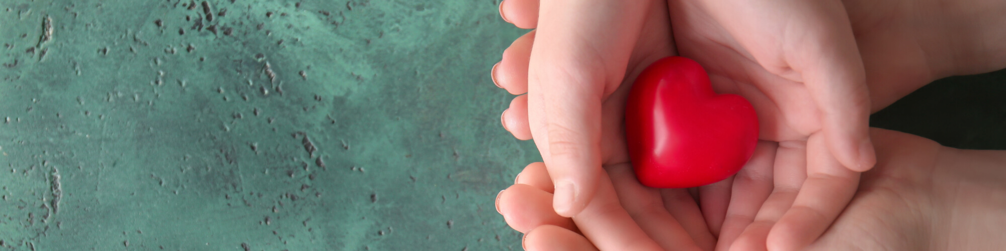 hands holding a red love heart 